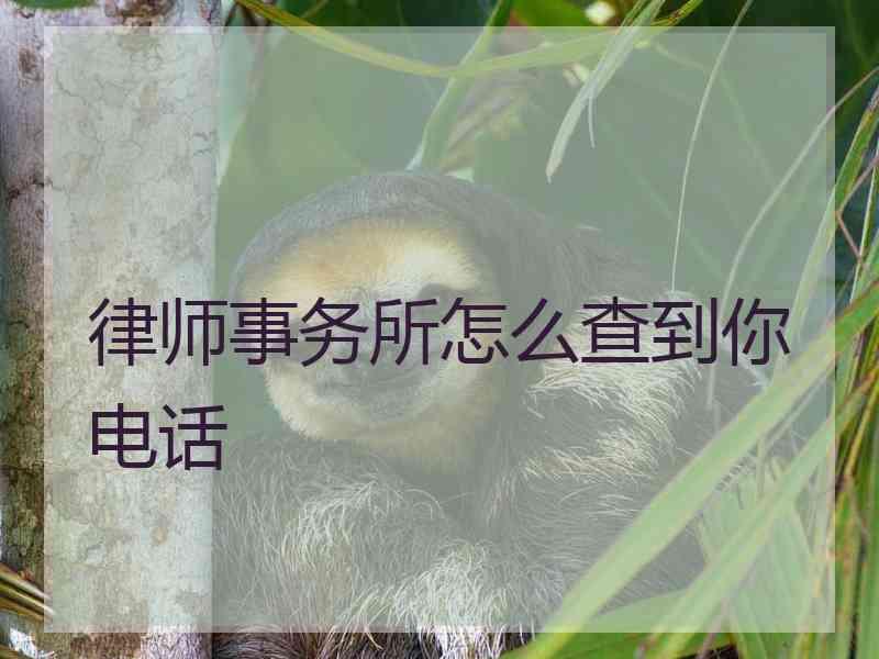 律师事务所怎么查到你电话