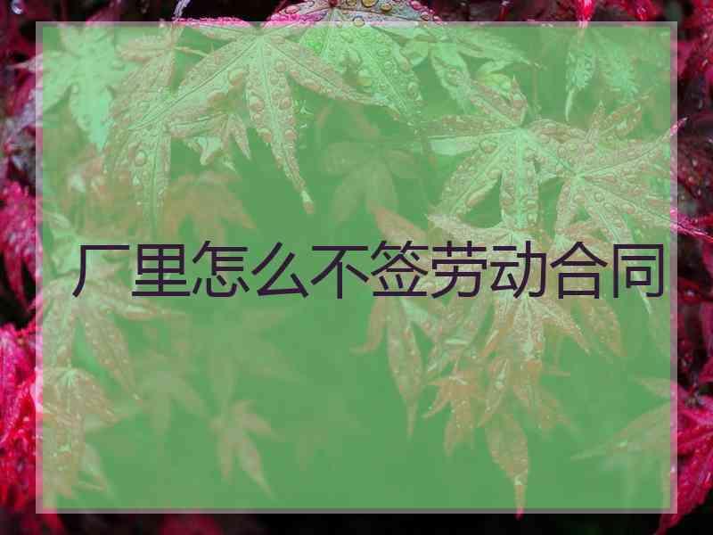 厂里怎么不签劳动合同