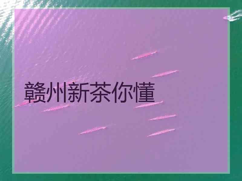 赣州新茶你懂
