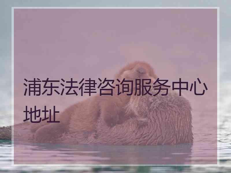 浦东法律咨询服务中心地址