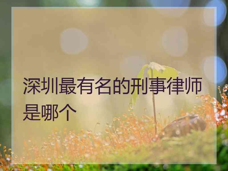 深圳最有名的刑事律师是哪个