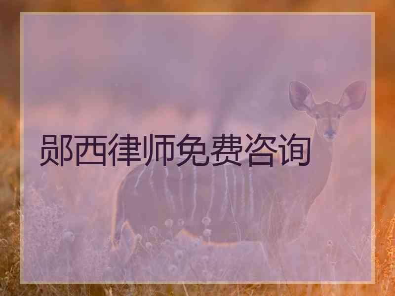 郧西律师免费咨询