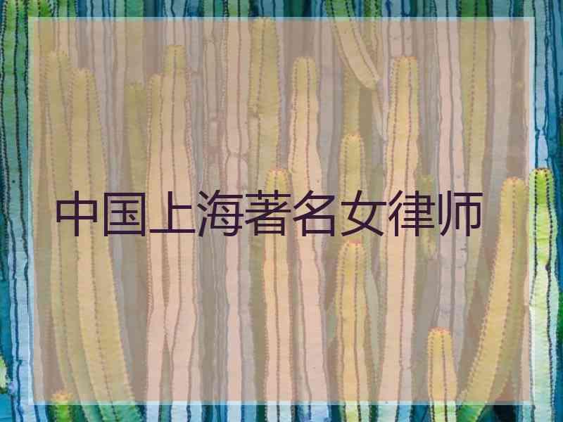 中国上海著名女律师