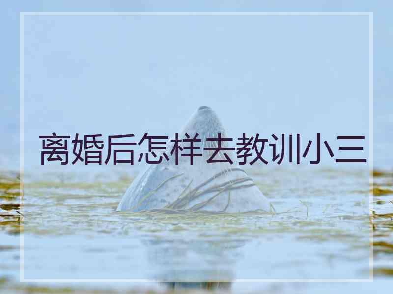离婚后怎样去教训小三