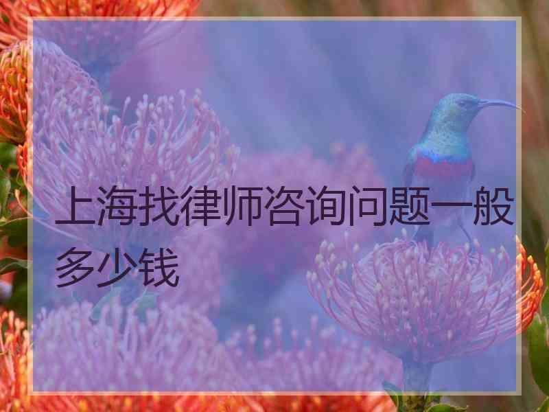 上海找律师咨询问题一般多少钱