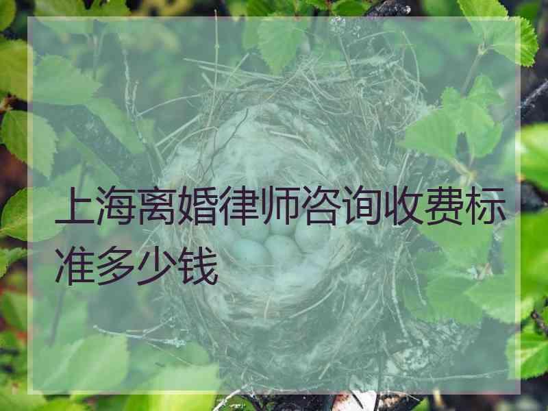 上海离婚律师咨询收费标准多少钱