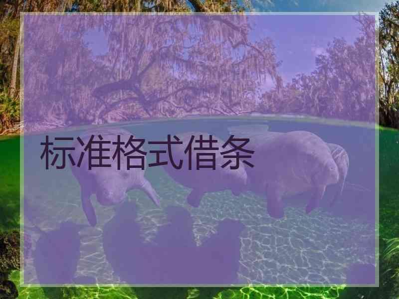 标准格式借条