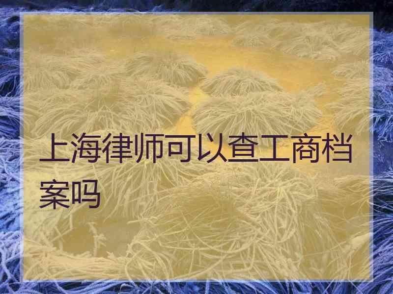 上海律师可以查工商档案吗