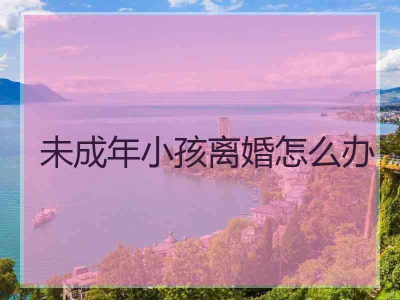 未成年小孩离婚怎么办