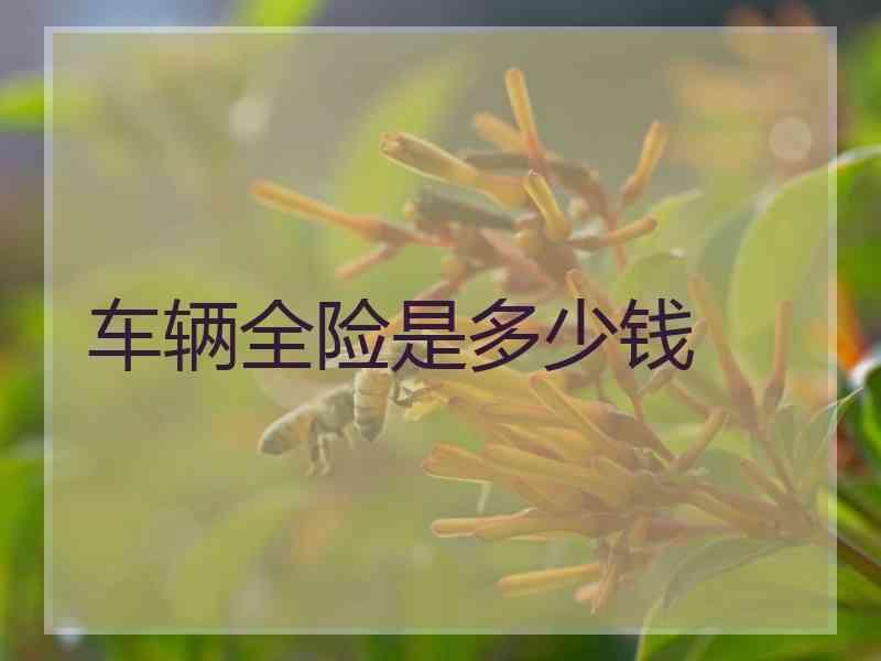 车辆全险是多少钱