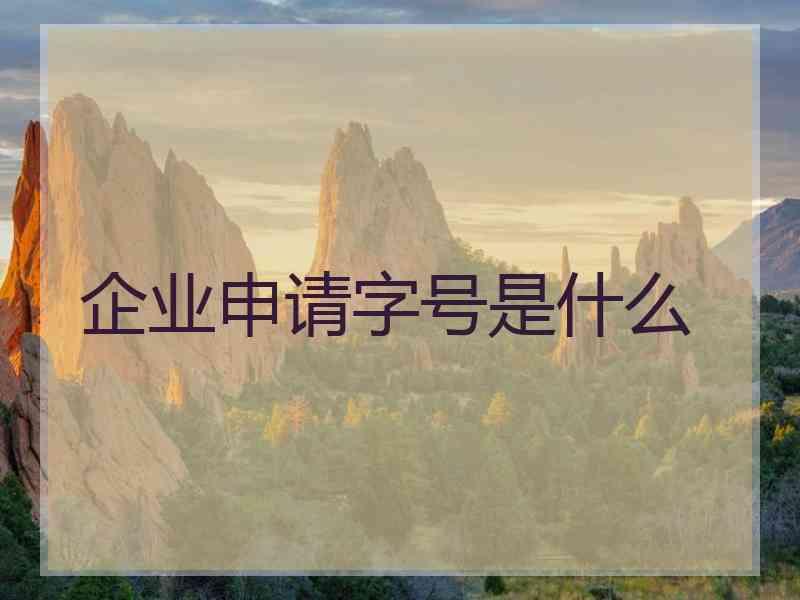 企业申请字号是什么