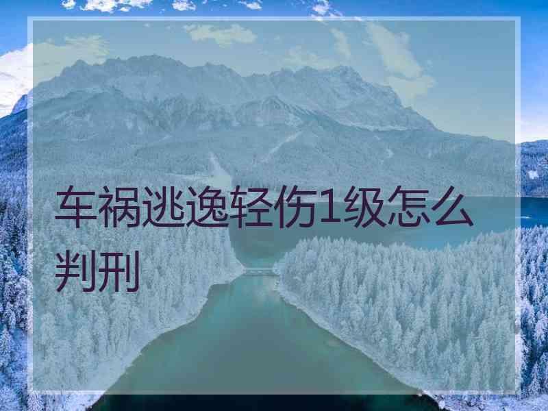 车祸逃逸轻伤1级怎么判刑