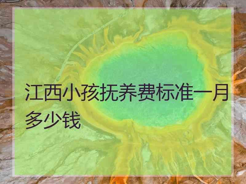 江西小孩抚养费标准一月多少钱