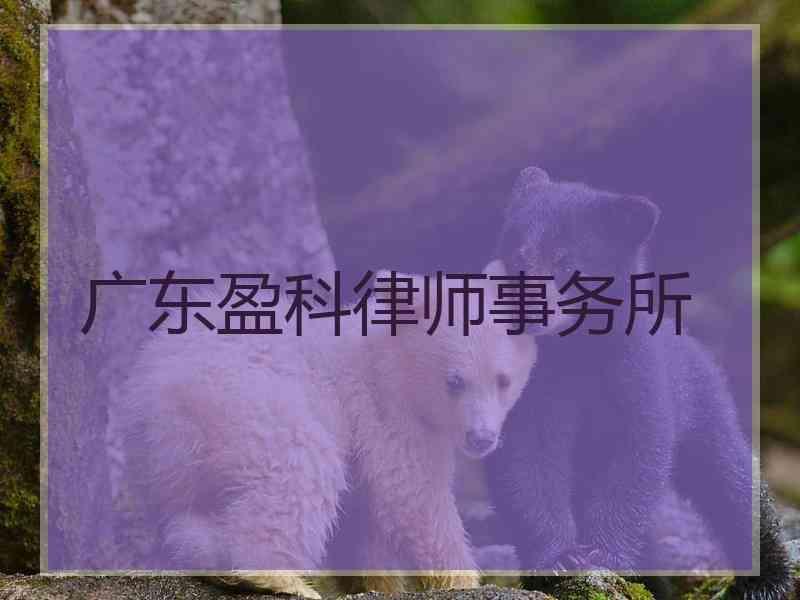 广东盈科律师事务所