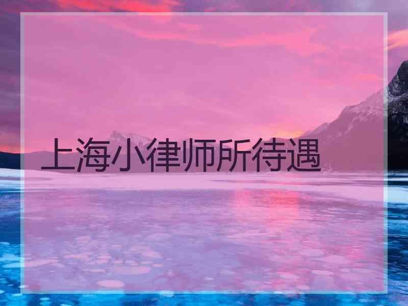 上海小律师所待遇