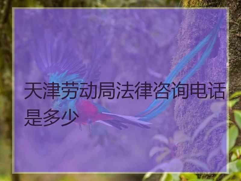 天津劳动局法律咨询电话是多少
