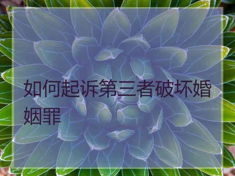 如何起诉第三者破坏婚姻罪