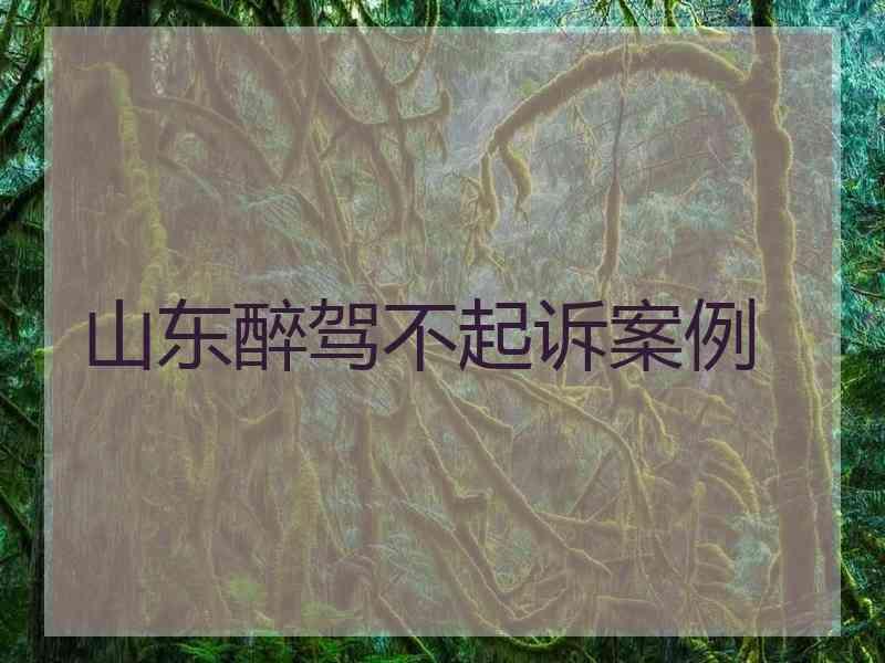 山东醉驾不起诉案例