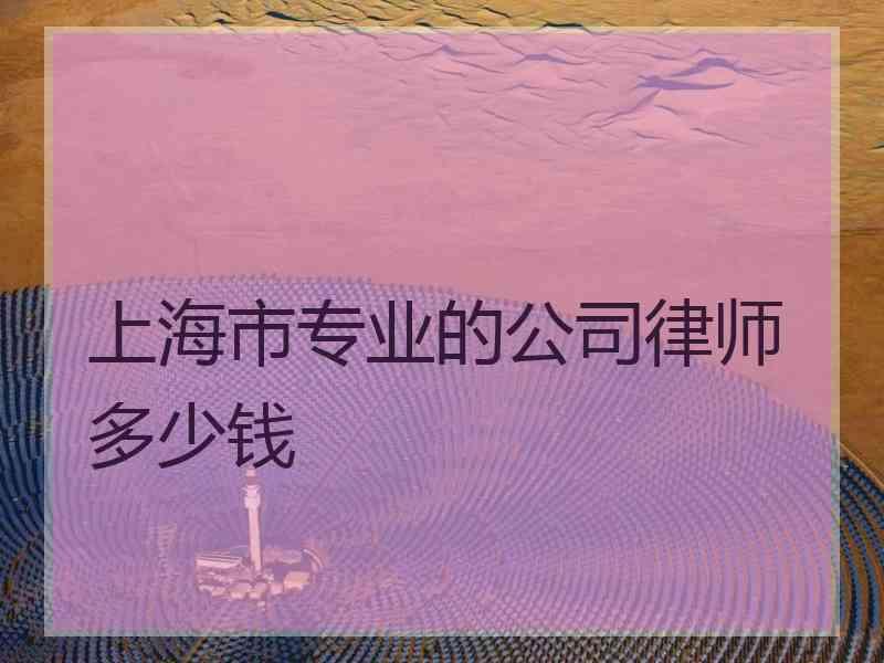 上海市专业的公司律师多少钱