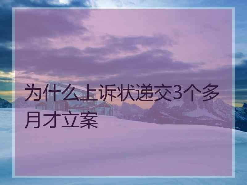 为什么上诉状递交3个多月才立案