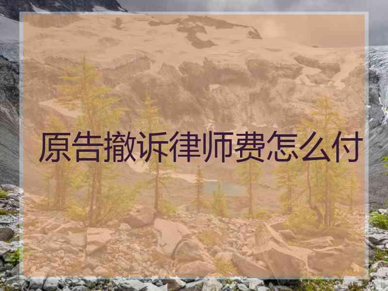 原告撤诉律师费怎么付