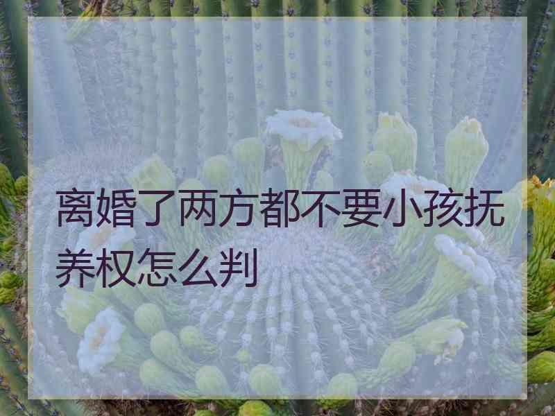 离婚了两方都不要小孩抚养权怎么判