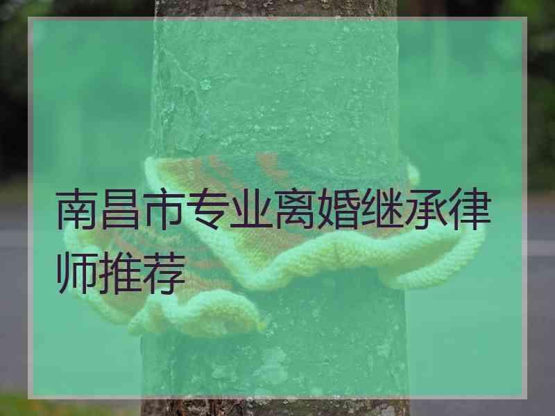 南昌市专业离婚继承律师推荐 南昌市专业离婚继承律师推荐