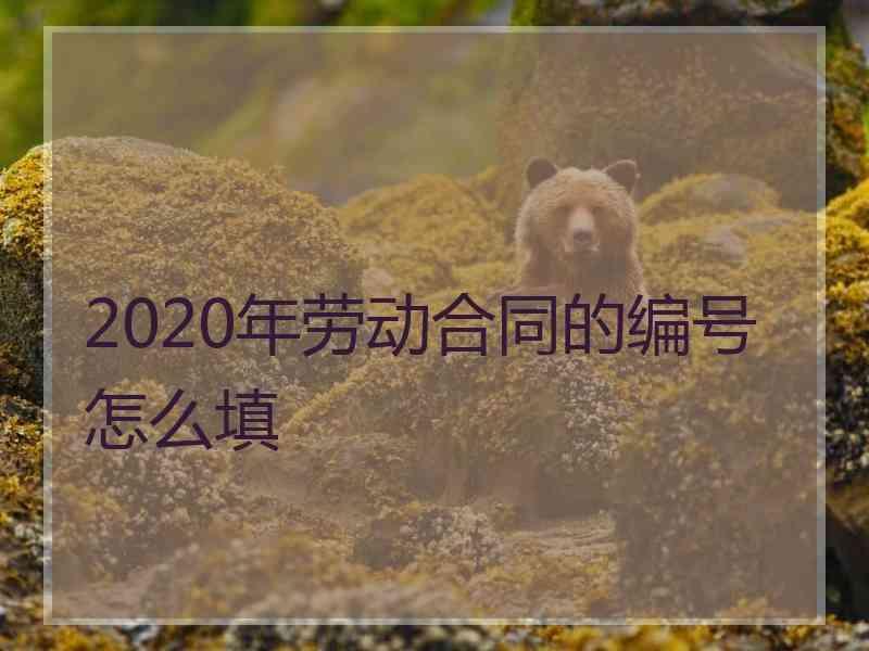2020年劳动合同的编号怎么填