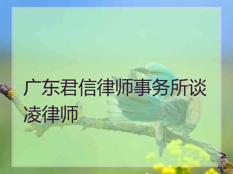 广东君信律师事务所谈凌律师