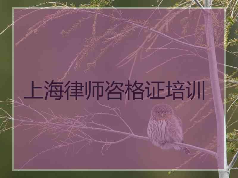 上海律师咨格证培训