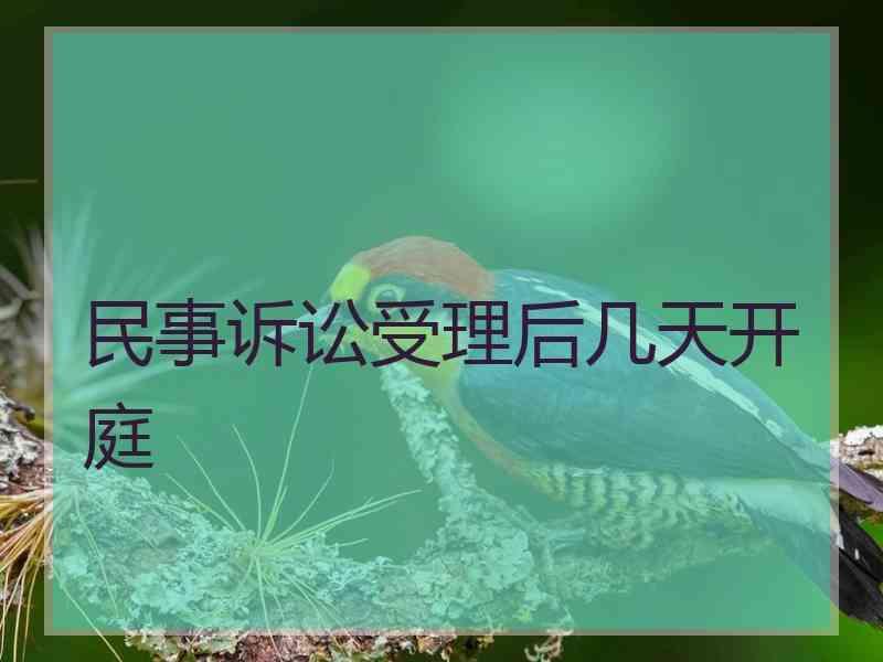 民事诉讼受理后几天开庭