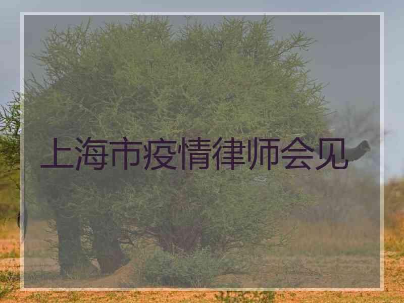 上海市疫情律师会见