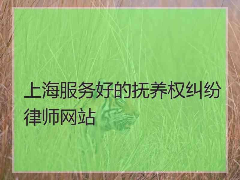 上海服务好的抚养权纠纷律师网站