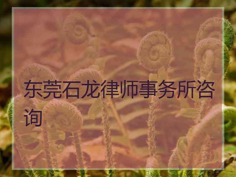 东莞石龙律师事务所咨询