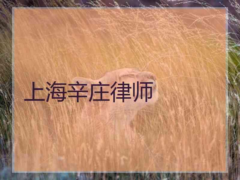 上海辛庄律师