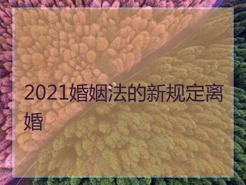 2021婚姻法的新规定离婚