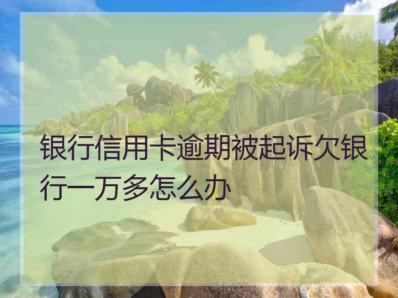 银行信用卡逾期被起诉欠银行一万多怎么办