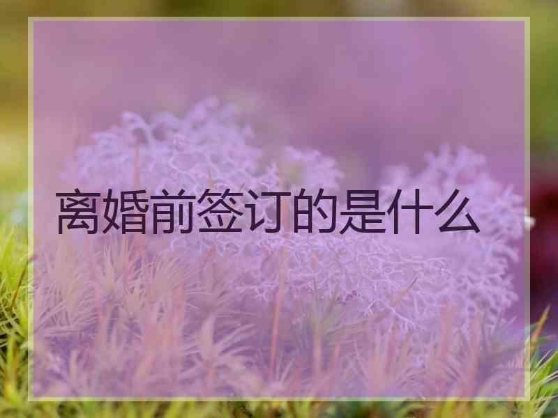 离婚前签订的是什么