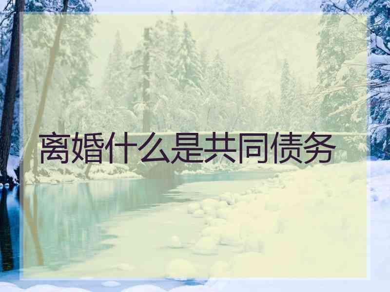 离婚什么是共同债务