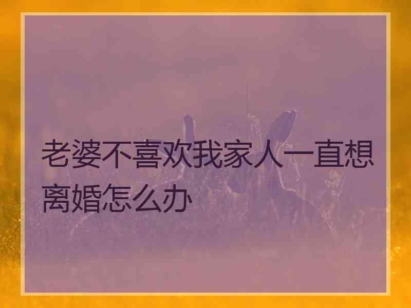 老婆不喜欢我家人一直想离婚怎么办