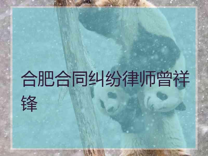 合肥合同纠纷律师曾祥锋