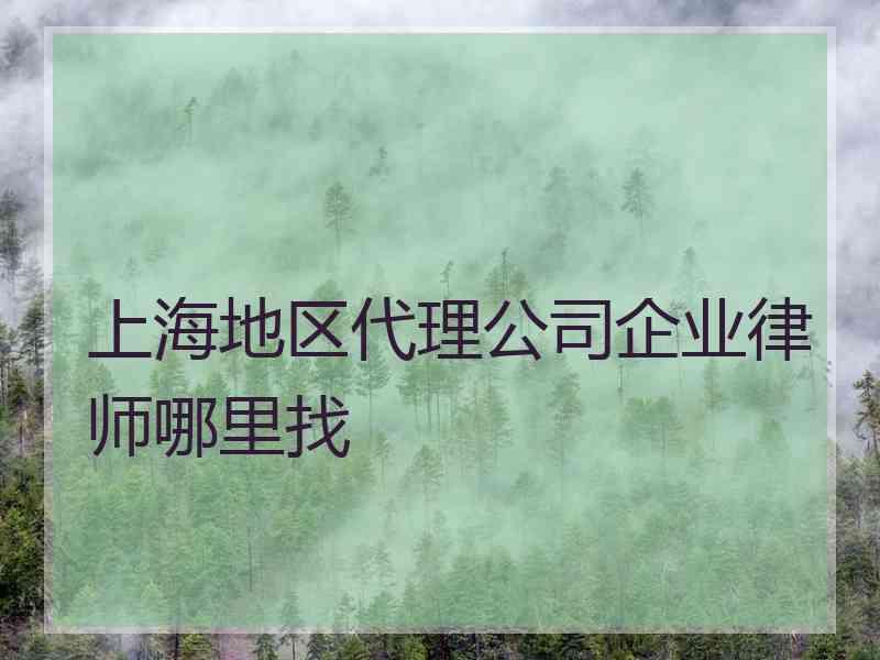 上海地区代理公司企业律师哪里找