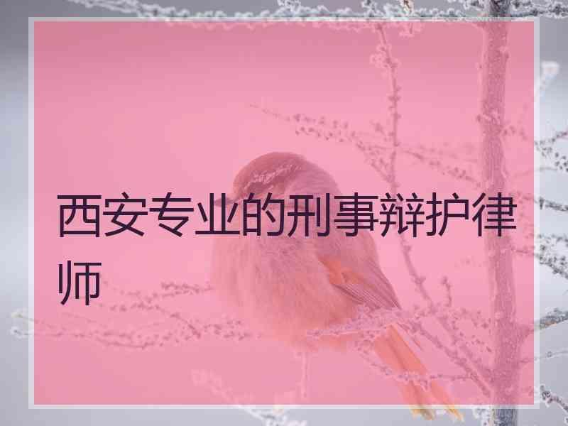 西安专业的刑事辩护律师