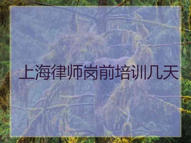 上海律师岗前培训几天