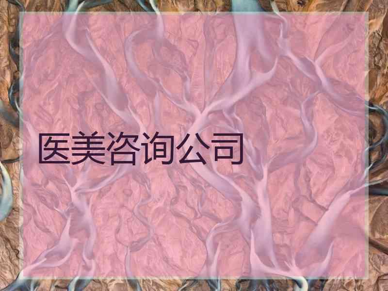 医美咨询公司