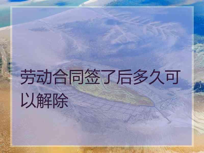 劳动合同签了后多久可以解除