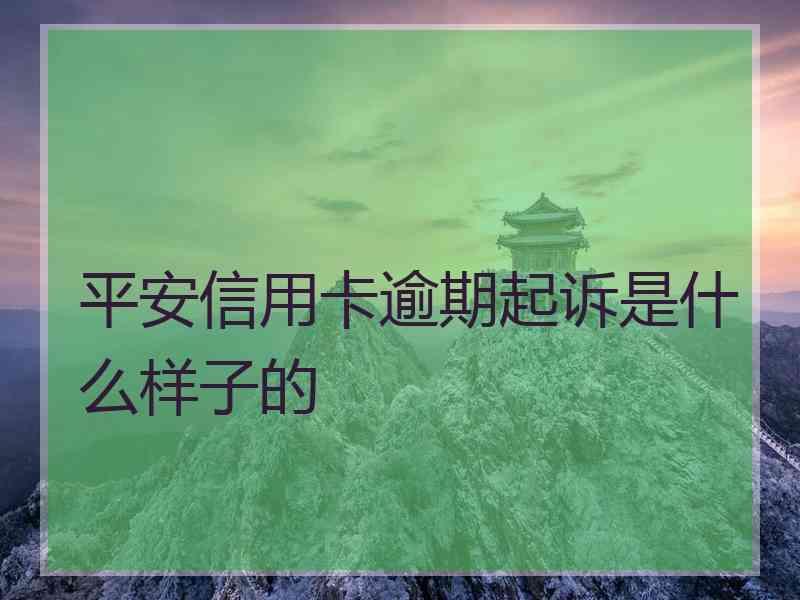 平安信用卡逾期起诉是什么样子的