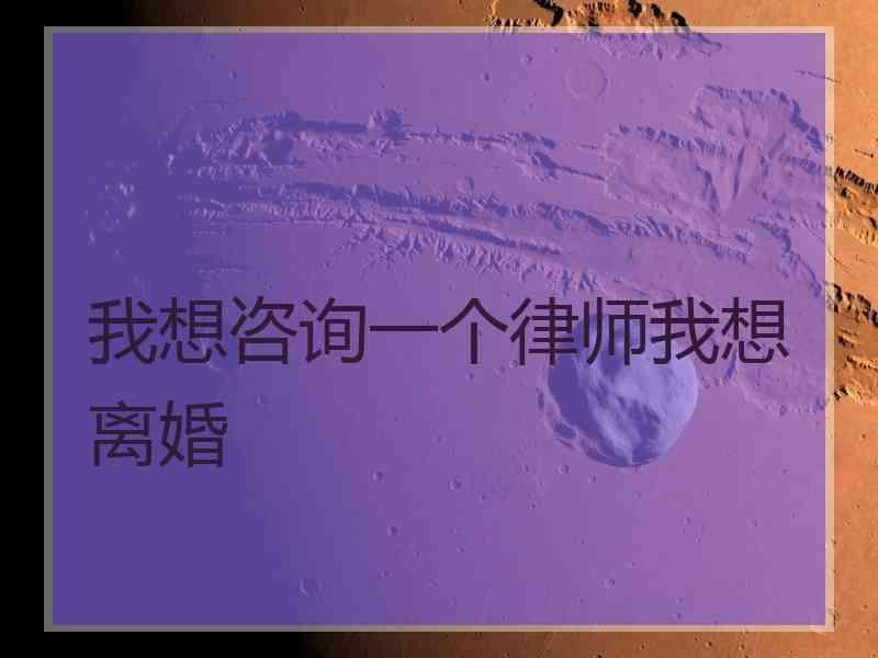 我想咨询一个律师我想离婚