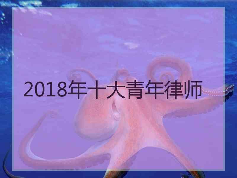 2018年十大青年律师2018年律师收费标准