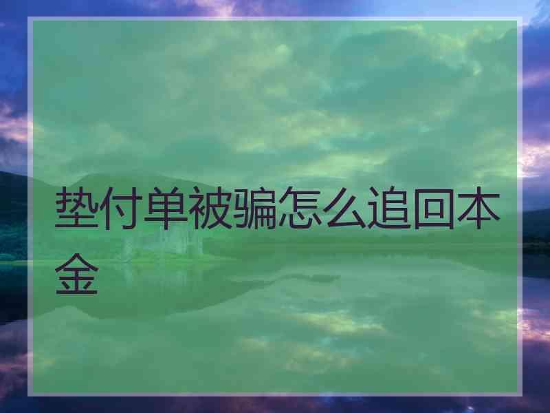 垫付单被骗怎么追回本金